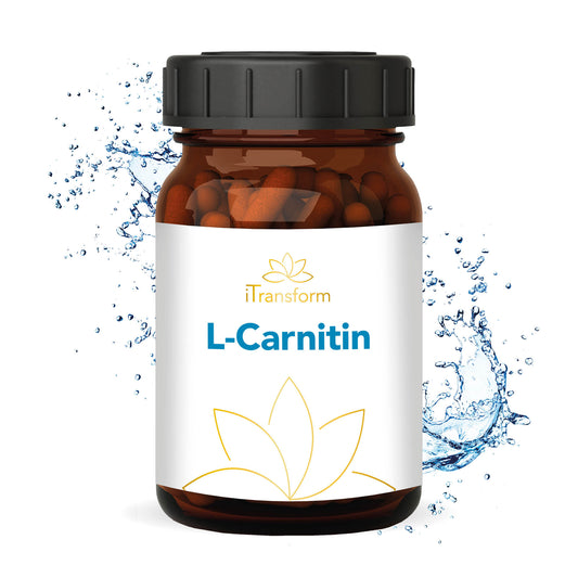 <transcy>L-Carnitina, Vegano, 120 cápsulas, Carnipure original 500 mg por cápsula, 60 raciones diarias</transcy>