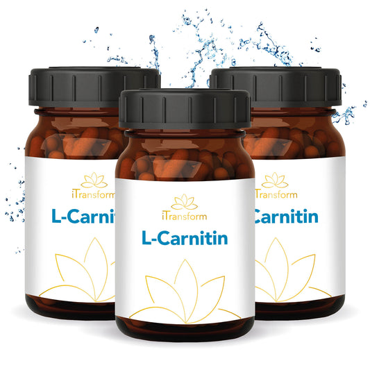 <transcy>L-Carnitine Spar Set, Vegan, 360 capsules, Original Carnipure 500mg per capsule, 180 daily rations</transcy>